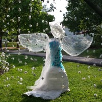 "rosa Fée des neiges", parc de la roseraie -  mai 2015